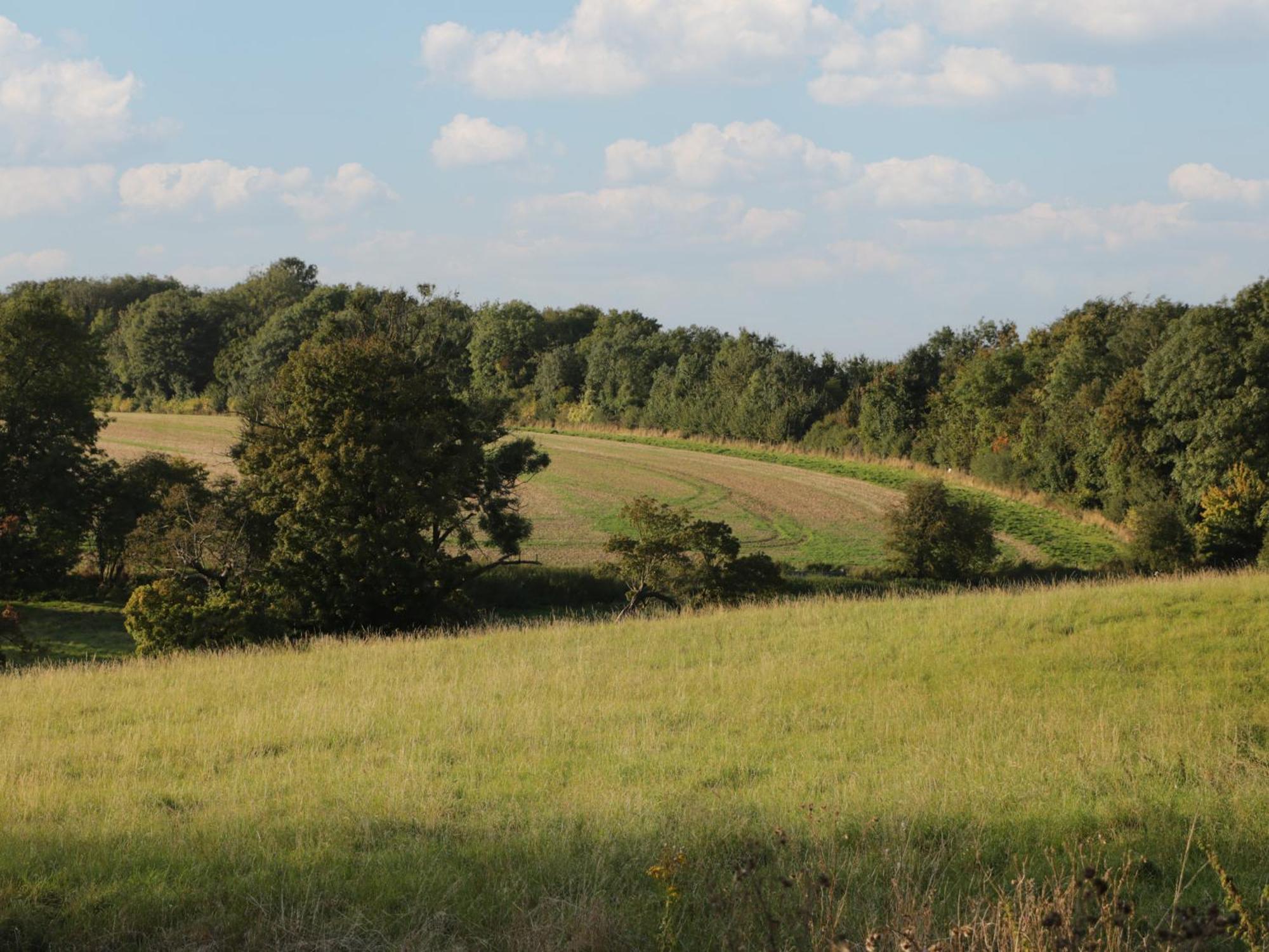 Hazel Villa Cirencester Dış mekan fotoğraf